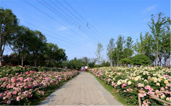 鄭港十路中央生態公園