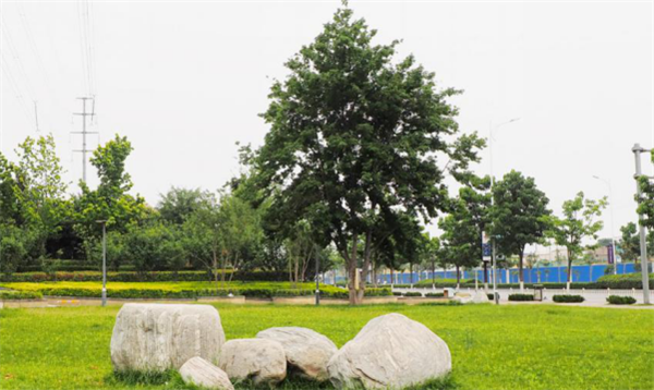 鄭港十路中央生態公園