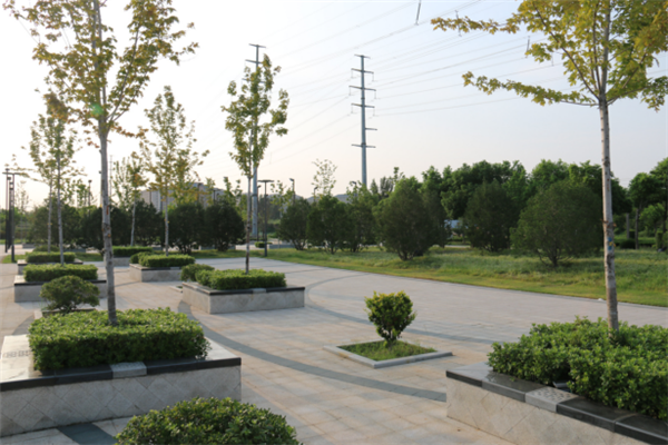 鄭港十路中央生態公園