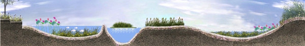 水生態(tài)系統(tǒng)保護(hù)、修復(fù)、利用的思考與實(shí)踐