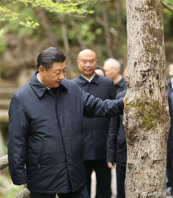 習近平：要做守護秦嶺生態的衛士