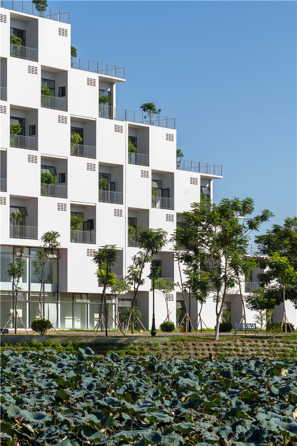 越南FPT大學行政樓設計：混凝土建筑中的綠色體驗