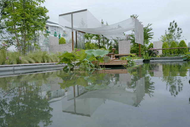 2020世界花園大會(huì)作品——江南水里