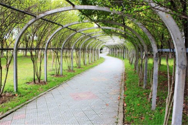 漢水公園：海綿改造讓老舊公園煥發新生命