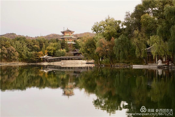 張曉鳴：審美引導也是園林人的使命