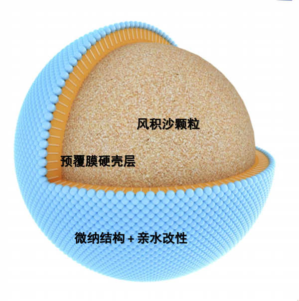 蘇雨明：透水鋪裝在海綿城市的應用