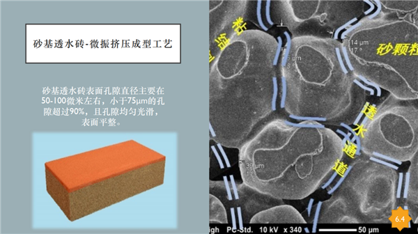 蘇雨明：透水鋪裝在海綿城市的應用