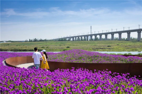 怡境景觀丨灃河濕地生態公園