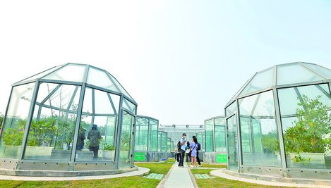 廈門大學(xué)"八閩園"開園 將建成國內(nèi)一流大學(xué)植物園