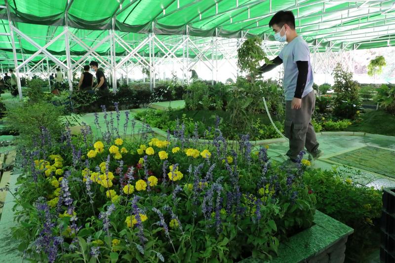 66名學生在深圳秀園藝“功夫” 4天讓沙地變花園 