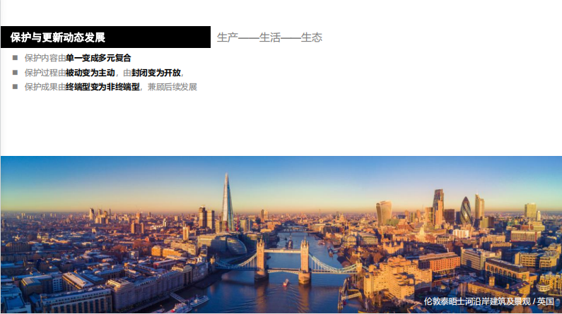 朱玲：動態更新與主動保護