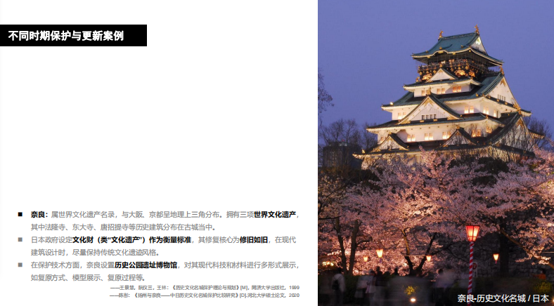 朱玲：動態更新與主動保護
