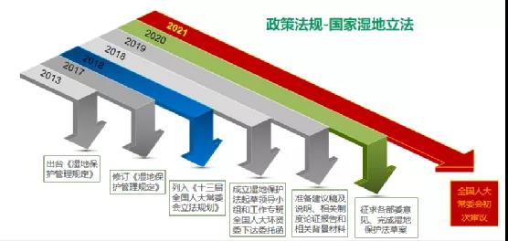 鮑達(dá)明：加強濕地保護(hù)，促進(jìn)綠色發(fā)展