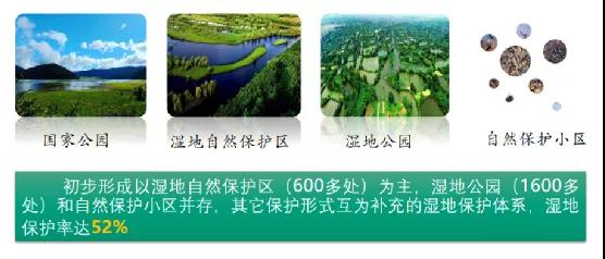 鮑達(dá)明：加強濕地保護(hù)，促進(jìn)綠色發(fā)展