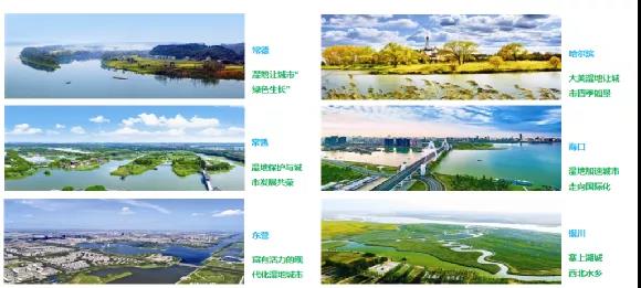 鮑達(dá)明：加強濕地保護(hù)，促進(jìn)綠色發(fā)展