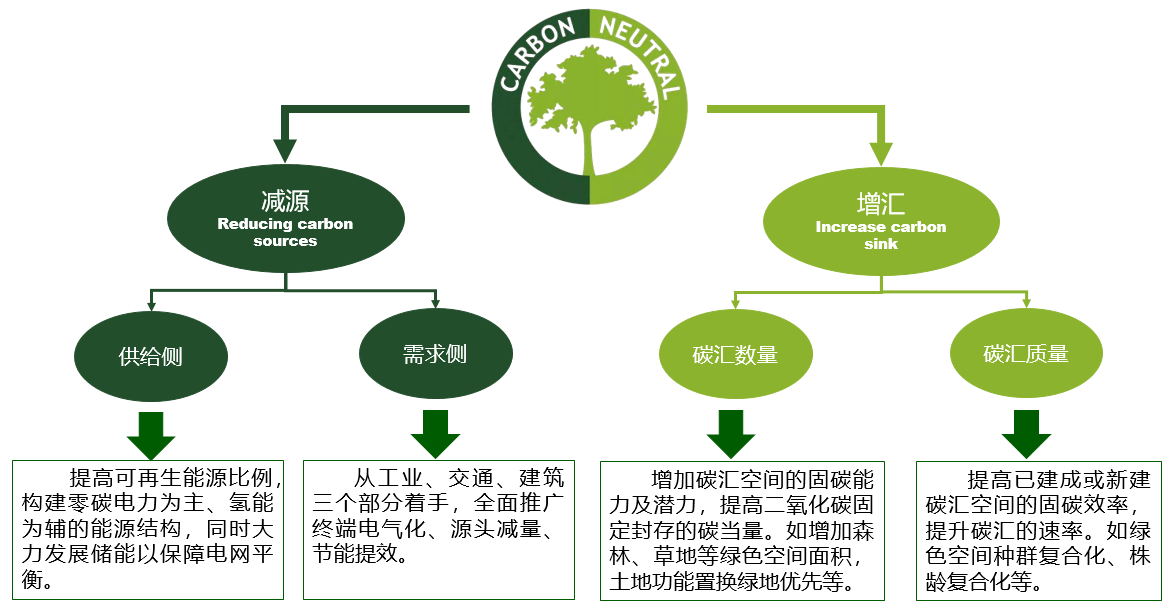 石鐵矛：“碳中和”導向下的城市綠地系統碳匯