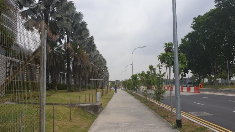 鄧國輝：邁向大自然中的城市