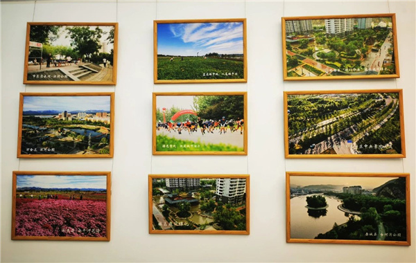 ?張家口市舉辦綠化美化主題活動 展賽結(jié)合精彩紛呈