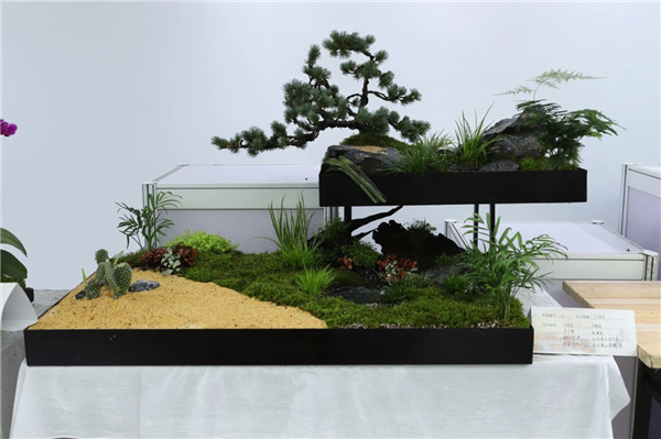 ?張家口市舉辦綠化美化主題活動 展賽結(jié)合精彩紛呈