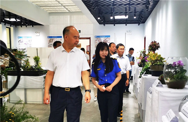 ?張家口市舉辦綠化美化主題活動 展賽結(jié)合精彩紛呈