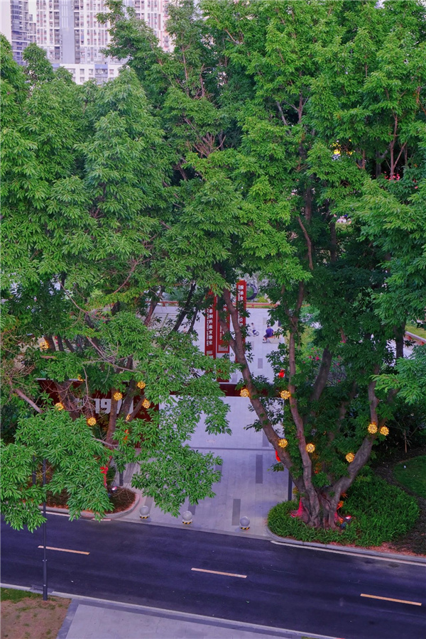 嶺南設(shè)計丨東莞鰜魚洲文化創(chuàng)意產(chǎn)業(yè)園
