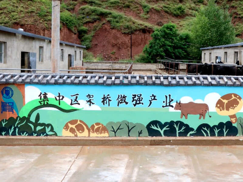 天津大學(xué)用“說(shuō)話的景觀墻”扮靚美麗鄉(xiāng)村
