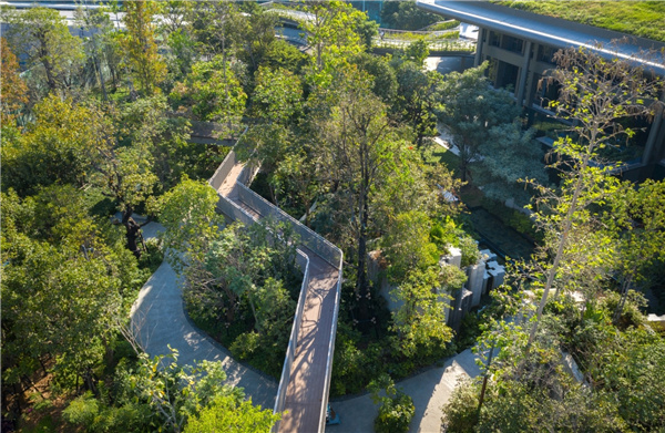 TK Studio丨泰國芳林城市森林館