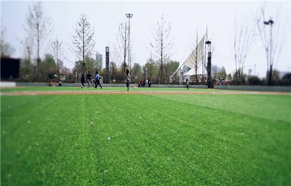 平輿縣縣城綠地景觀提升改造工程設計施工一體化項目（EPC）