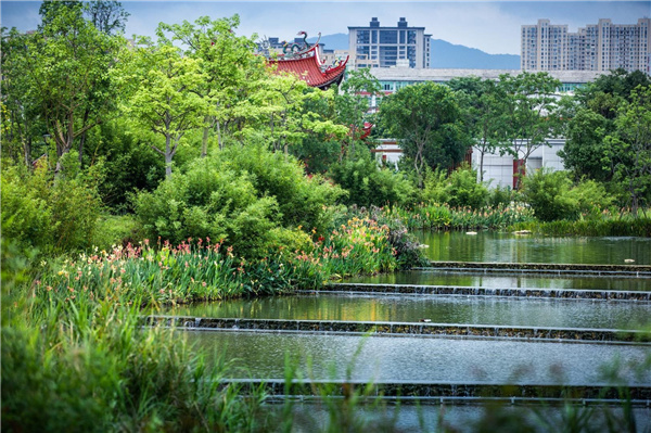 龍巖市龍津湖公園項(xiàng)目