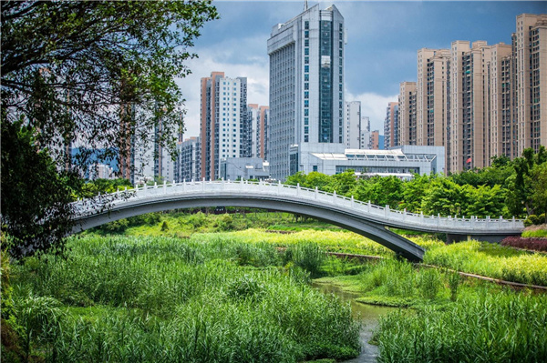 龍巖市龍津湖公園項(xiàng)目