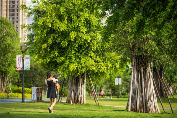 龍巖市龍津湖公園項(xiàng)目