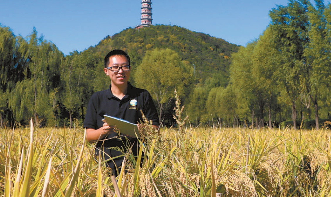 北京林業大學博士生朱強：探溯三山五園