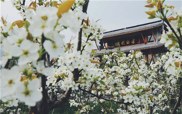臺(tái)州·黃巖交旅集團(tuán)枕山酒店