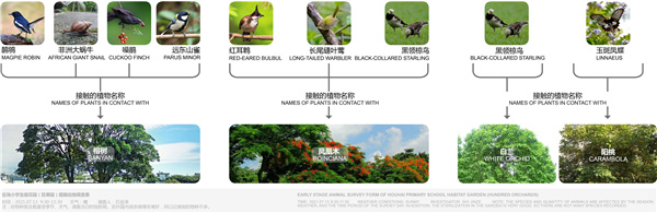GND杰地景觀丨后海小學(xué)未來(lái)花園