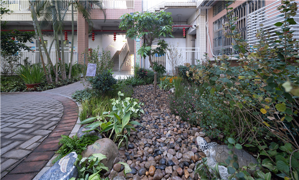 GND杰地景觀丨后海小學(xué)未來(lái)花園