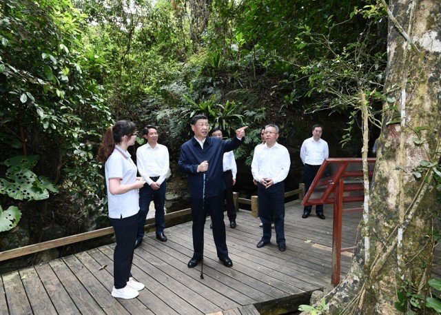 習近平考察海南熱帶雨林國家公園