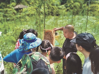 在國家公園開展自然教育如何體現公益屬性？