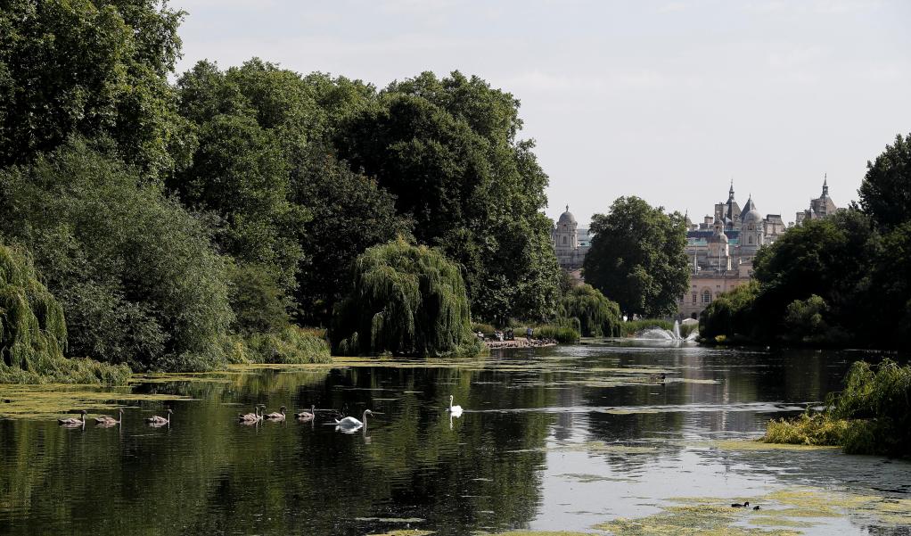 英國專家：中國設(shè)立國家公園是“了不起的成就”