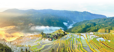 農(nóng)業(yè)文化遺產(chǎn)——為保護生物多樣性貢獻中國智慧