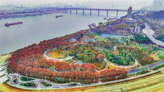 沖刺“千園之城”！武漢公園總量突破800座
