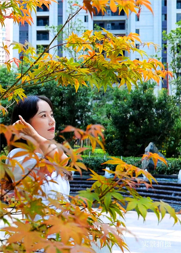 天一公園首府