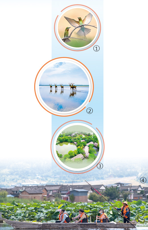 初步建立濕地保護(hù)體系 中國(guó)推動(dòng)濕地保護(hù)事業(yè)高質(zhì)量發(fā)展