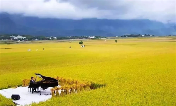 臺東縣池上鄉：稻米之鄉奏響四季樂章
