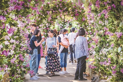 專家熱議：高水平推進國家植物園體系建設