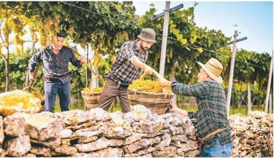 保護(hù)和推廣農(nóng)業(yè)遺產(chǎn)在哪些方面獲得成功？