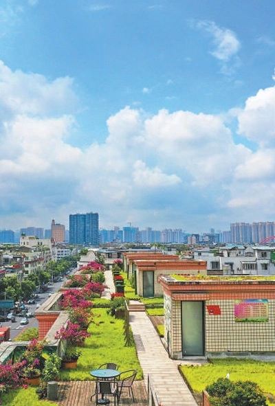 成都天府新區(qū)：讓公園城市有機(jī)生長(zhǎng)