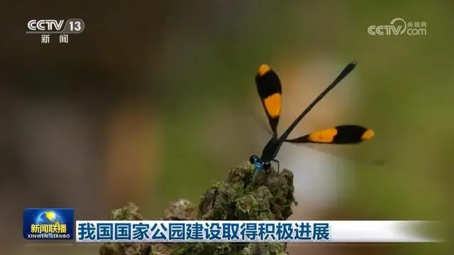 一年來，我國國家公園在哪些方面取得積極進(jìn)展