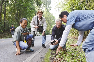 國外經驗：國家公園助力生物多樣性保護
