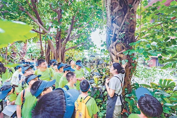 世園公園迎來暑期研學(xué)熱 場館再利用變青少年營地