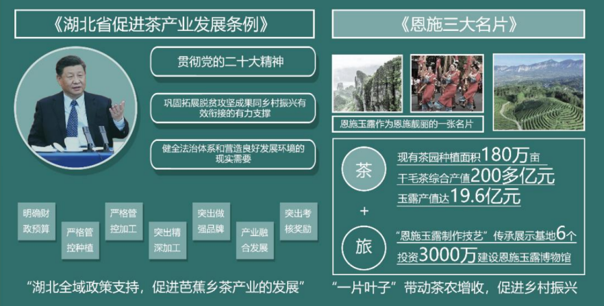 第二屆鄉(xiāng)村振興國際聯(lián)合畢業(yè)設(shè)計三等獎作品丨玉露緣起·傳承共生